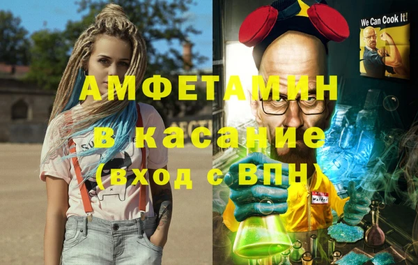 прущие грибы Куйбышев