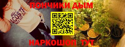 эйфоретик Кингисепп
