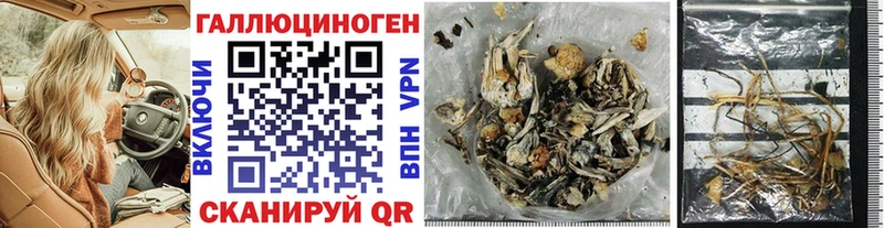 наркошоп  Людиново  Псилоцибиновые грибы Magic Shrooms 