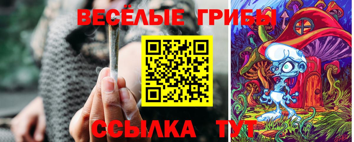 Людиново  Псилоцибиновые грибы GOLDEN TEACHER  Псилоцибиновые грибы ЛСД  Вход с VPN 