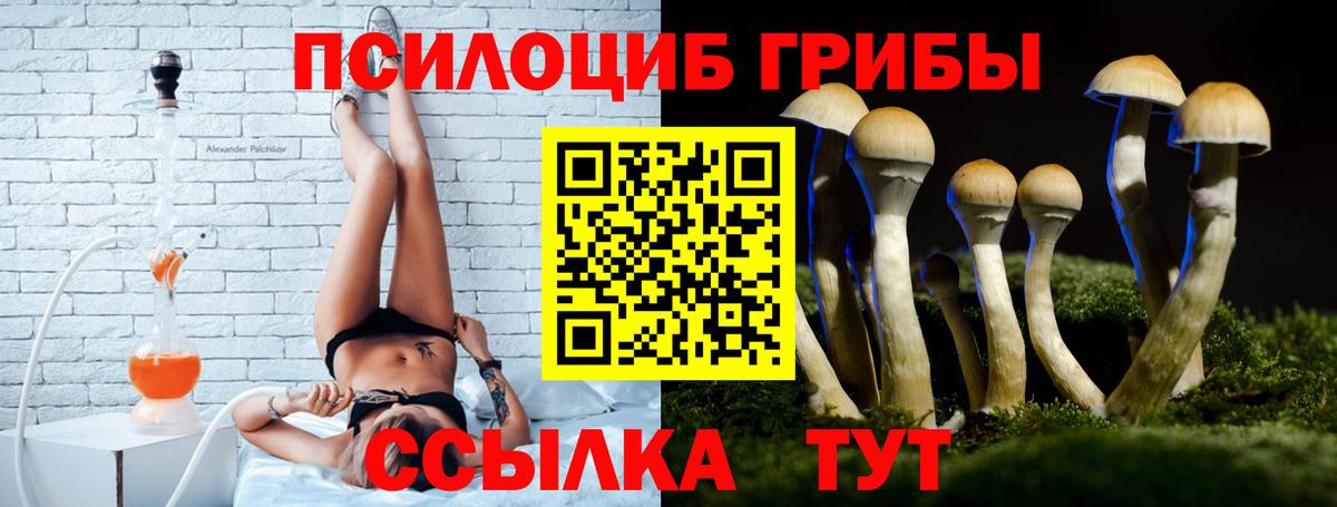 Галлюциногенные грибы MAGIC MUSHROOMS Людиново