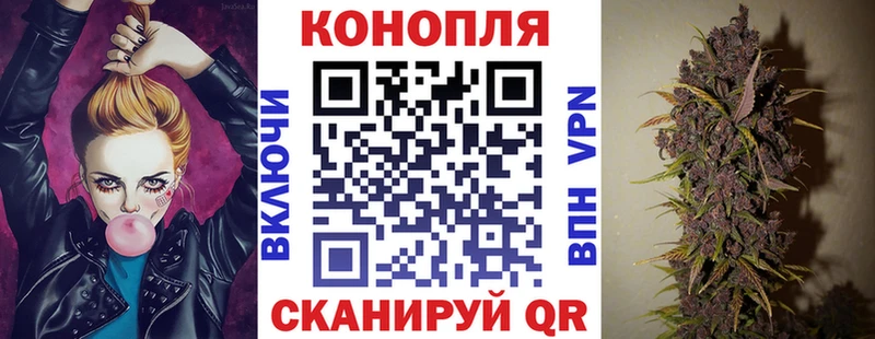 где купить наркоту  Людиново  Каннабис планчик 